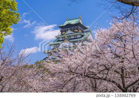 大阪城天守閣　満開の桜 138982769