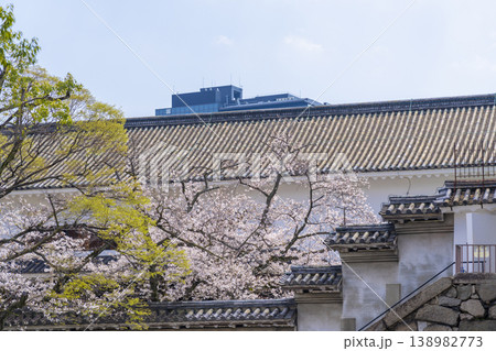 大阪城天守閣　千貫櫓　満開の桜 138982773