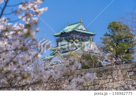大阪城天守閣　満開の桜 138982775