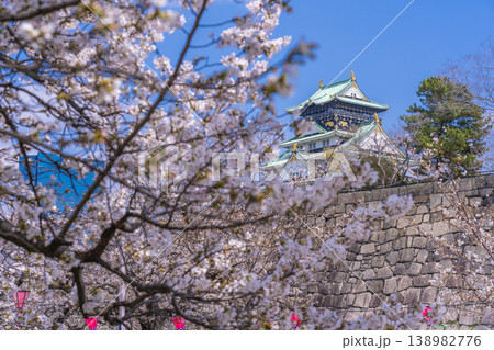 大阪城天守閣　満開の桜 138982776