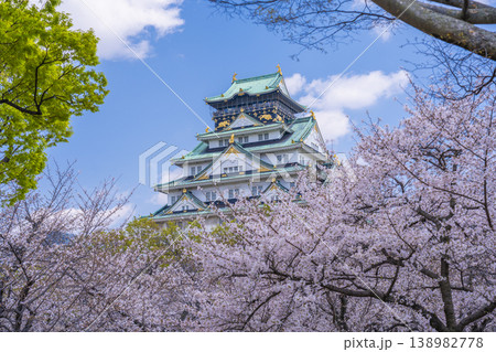 大阪城天守閣　満開の桜 138982778