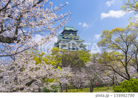 大阪城天守閣 満開の桜 大阪城天守閣 満開の桜 138982780