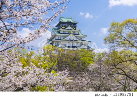 大阪城天守閣　満開の桜 138982781