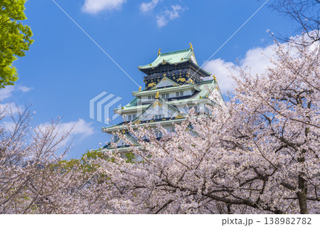 大阪城天守閣　満開の桜 138982782