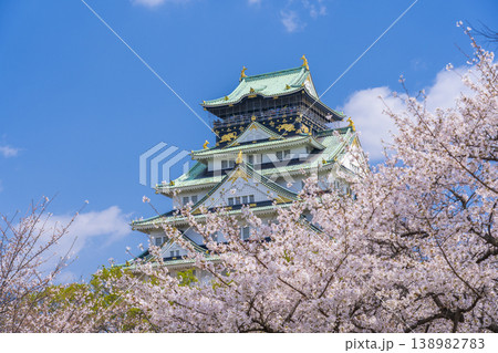大阪城天守閣　満開の桜 138982783