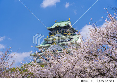 大阪城天守閣　満開の桜 138982784