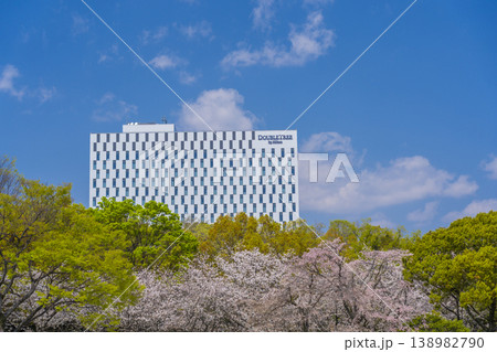 ダブルツリーbyヒルトン大阪城 満開の桜 ダブルツリーbyヒルトン大阪城 満開の桜 138982790