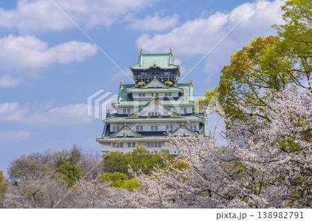 大阪城天守閣 満開の桜 大阪城天守閣 満開の桜 138982791