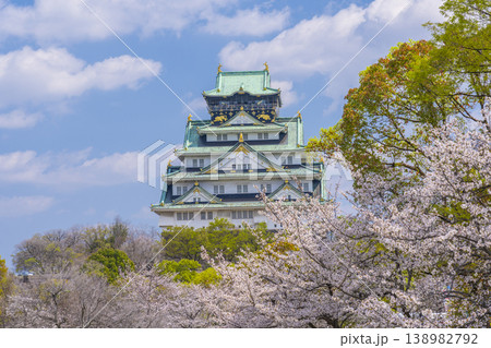 大阪城天守閣 満開の桜 大阪城天守閣 満開の桜 138982792