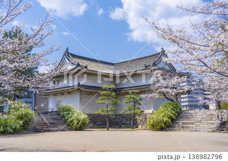 西の丸城内側から見る乾櫓 満開の桜 西の丸城内側から見る乾櫓 満開の桜 138982796