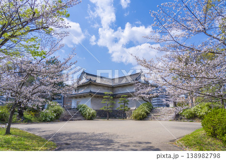 西の丸城内側から見る乾櫓　満開の桜 138982798