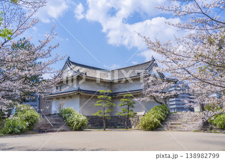 西の丸城内側から見る乾櫓 満開の桜 西の丸城内側から見る乾櫓 満開の桜 138982799