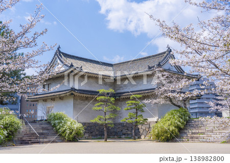 西の丸城内側から見る乾櫓 満開の桜 西の丸城内側から見る乾櫓 満開の桜 138982800