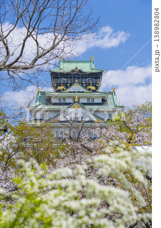 大阪城天守閣　満開の桜 138982804