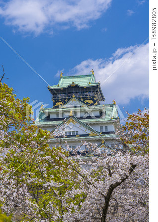 大阪城天守閣 満開の桜 大阪城天守閣 満開の桜 138982805