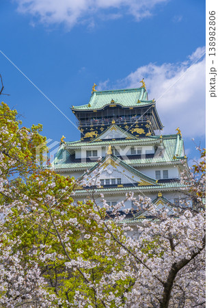 大阪城天守閣 満開の桜 大阪城天守閣 満開の桜 138982806