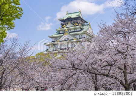 大阪城天守閣 満開の桜 大阪城天守閣 満開の桜 138982808