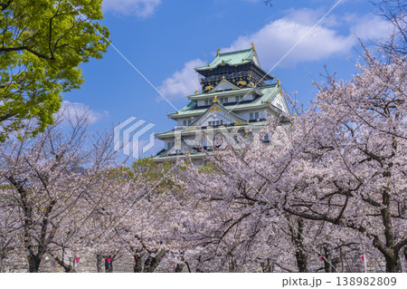 大阪城天守閣　満開の桜 138982809