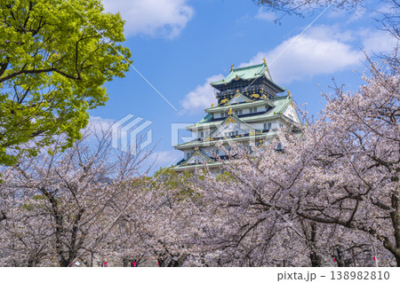 大阪城天守閣 満開の桜 大阪城天守閣 満開の桜 138982810