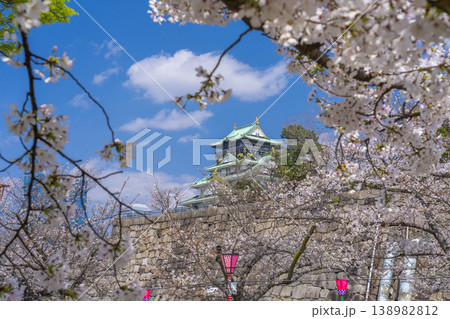 大阪城天守閣 満開の桜 大阪城天守閣 満開の桜 138982812