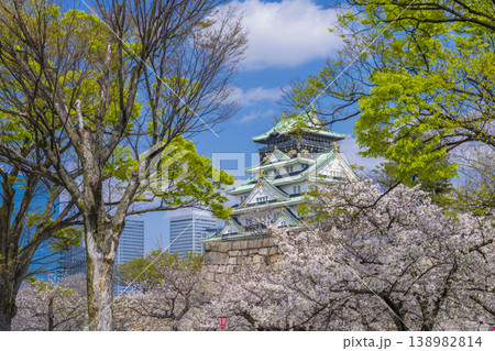 大阪城天守閣 満開の桜 大阪城天守閣 満開の桜 138982814