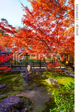 建仁寺 潮音庭の紅葉 建仁寺 潮音庭の紅葉 138983001