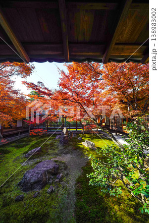 建仁寺 潮音庭の紅葉 建仁寺 潮音庭の紅葉 138983002