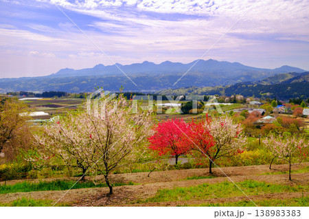 春の花が咲く丘から見た榛名山 138983383