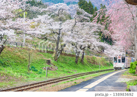 満開の桜　会津鉄道湯野上温泉駅 138983692