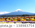 カラフルなビオラの花畑と冠雪の富士山 138983754