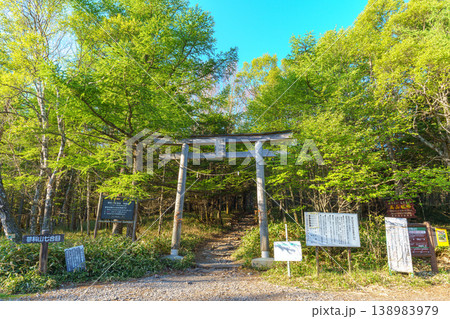 日本百名山 蓼科山 七合目登山口 鳥居と新緑の登山道 日本百名山 蓼科山 七合目登山口 鳥居と新緑の登山道 138983979
