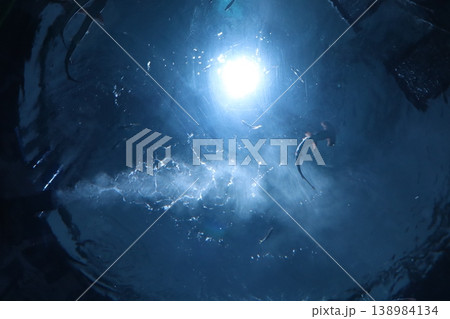 光が差し込む青い水中を漂う生物たちの神秘的な風景 138984134