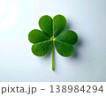 Celebration. Shamrock clover on a white background. Symbol of St. Patrick's Day. Fresh green leaf. 138984294