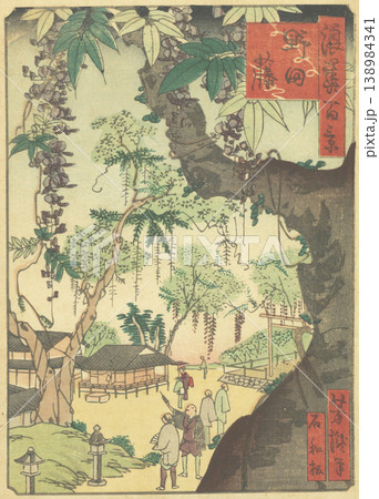 浪花百景：野田藤 138984341