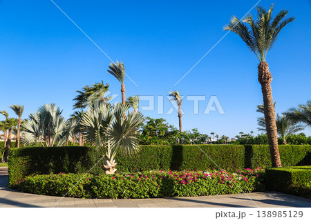 Well-maintained luxurious grounds of a 5-star hotel with a garden and palm trees 138985129