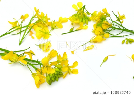 Mustard flower isolated on white background Mustard flower isolated on white background 138985740