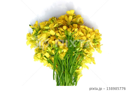Mustard flower isolated on white background 138985776