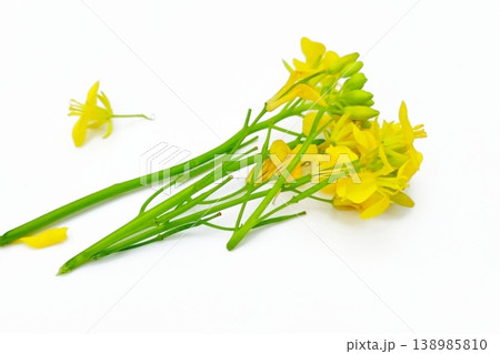 Mustard flower isolated on white background 138985810