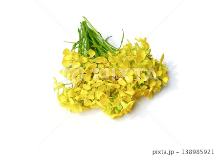 Mustard flower isolated on white background 138985921