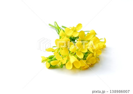 Mustard flower isolated on white background 138986007