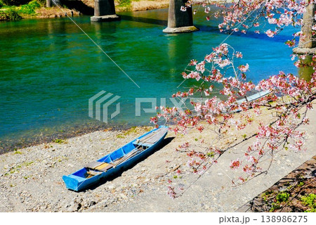 春の山里の川岸に咲いた桜 春の山里の川岸に咲いた桜 138986275