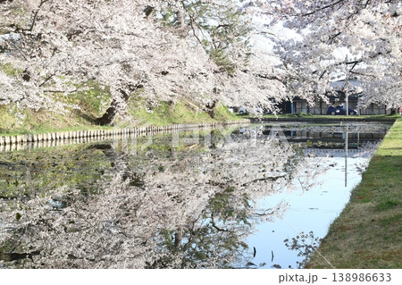 朝日に照らされる外堀の桜 朝日に照らされる外堀の桜 138986633