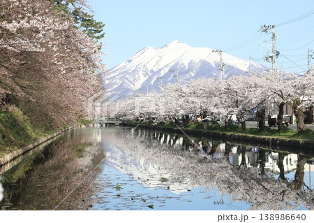 岩木山と弘前公園の桜 岩木山と弘前公園の桜 138986640