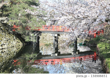 赤い橋と桜 138986651