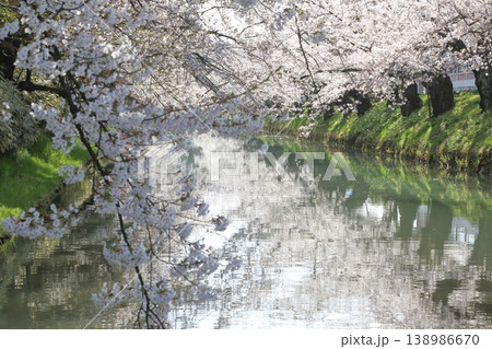 朝のお堀 138986670