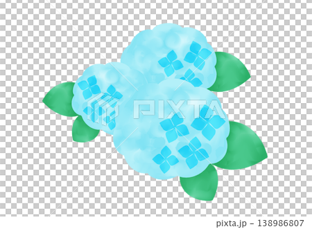 一幅淺藍色繡球花的水彩插圖。 138986807