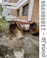 Rusted metal pipes rest on the ground next to a brick structure. Parts of the walls show damage. Overgrown grass surrounds the area. It is daylight 138986998