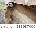 A rusty metal pipe rests on the ground next to a brick building. The pipe is curved and shows signs of age. The area is overgrown and quiet 138987000