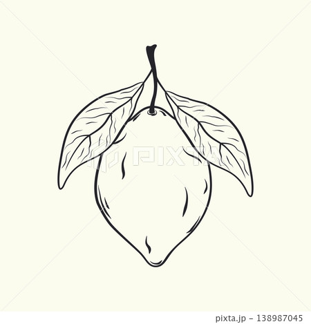 Hand-drawn lemon with leaves seamless pattern. Tropical citrus background. Hand-drawn lemon with leaves seamless pattern. Tropical citrus background. 138987045
