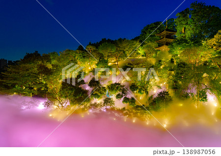 ホテル椿山荘東京・夜桜雲海 ホテル椿山荘東京・夜桜雲海 138987056